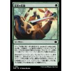 MTG ■緑/日本語版■(182)《長茎の乱闘/Longstalk Brawl》ブルームバロウ BLB  緑C
