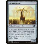 MTG ■無/英語版■ 《つややかな雄鹿/Burnished Hart》統率者2014 C14