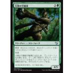 MTG ■緑/日本語版■ 《大樫の守護者/Great Oak Guardian》統率者2015 C15