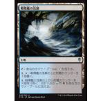MTG ■土地/日本語版■ 《戦慄艦の浅瀬/Dreadship Reef》統率者2016 C16