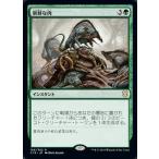 Yahoo! Yahoo!ショッピング(ヤフー ショッピング)MTG ■緑/日本語版■ 《新鮮な肉/Fresh Meat》統率者2019 C19