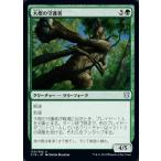 MTG ■緑/日本語版■ 《大樫の守護者/Great Oak Guardian》統率者2019 C19