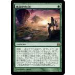 MTG ■緑/日本語版■ 《集団的航海/Collective Voyage》統率者2011 CMD