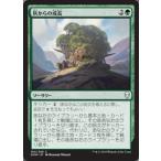 MTG ■緑/日本語版■ 《灰からの成長/Grow from the Ashes》ドミナリア DOM