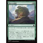 MTG ■緑/日本語版■(225)《灰からの成長/Grow from the Ashes》ファウンデーションズ FDN  緑C