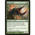 MTG ■緑/英語版■ 《腐食スカラベ/Rust Scarab》ギルド門侵犯 GTC