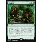 MTG ■緑/日本語版■ 《生類解放/Uncage the Menagerie》破滅の刻 HOU