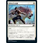 MTG ■白/日本語版■ 《堅実な立ち位置/Solid Footing》イコリア:巨獣の棲処 IKO