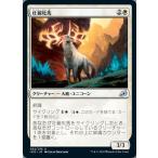 MTG ■白/日本語版■ 《壮麗牝馬/Splendor Mare》イコリア:巨獣の棲処 IKO