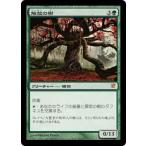 MTG ■緑/日本語版■《解放の樹/Tree of Redemption》イニストラード ISD