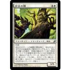 MTG ■白/日本語版■ 《歩哨の樫/Sentry Oak》ローウィン LRW
