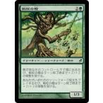 MTG ■緑/日本語版■ 《戦杖の樫/Battlewand Oak》ローウィン LRW