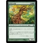 MTG ■緑/日本語版■ 《雲冠の樫/Cloudcrown Oak》ローウィン LRW