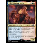 MTG ■金/日本語版■ 《引退した忍びの者、ビルボ/Bilbo, Retired Burglar》★FOIL★ 指輪物語:中つ国の伝承 LTR