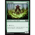 MTG ■緑/日本語版■ 《森林の神秘家/Woodland Mystic》基本セット2020 M20