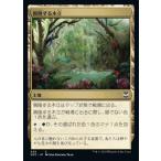 MTG ■土地/日本語版■《興隆する木立/Thriving Grove》ニューカペナの街角:統率者　NCC