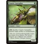 MTG ■緑/英語版■ 《苛性イモムシ/Caustic Caterpillar》マジックオリジン ORI