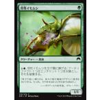 MTG ■緑/日本語版■ 《苛性イモムシ/Caustic Caterpillar》マジックオリジン ORI