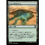 MTG ■土地/日本語版■ (299)《ハシェプのオアシス/Hashep Oasis》サンダージャンクション:統率者 OTC 土地U