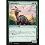 MTG ■緑/日本語版■ 《冠羽の群れ使い/Crested Herdcaller》★FOIL★ イクサランの相克 RIX