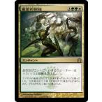 MTG ■金/日本語版■ 《集団的祝福/Collective Blessing》★FOIL★ ラヴニカへの回帰 RTR