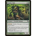 MTG ■緑/英語版■ 《狐火の樫/Foxfire Oak》★FOIL★ シャドウムーア SHM