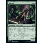 MTG ■緑/日本語版■《害獣の声/Voice of the Vermin》 ニューカペナの街角 SNC  　