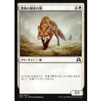 MTG ■白/日本語版■ 《悪魔の棲家の狐/Devilthorn Fox》 イニストラードを覆う影 SOI