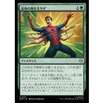 MTG ■緑/日本語版■ (101)《追加の腕を生やす/Grow Extra Arms》スパイダーマン SPM 緑C