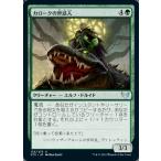 MTG ■緑/日本語版■ 《カロークの世話人/Karok Wrangler》ストリクスヘイブン STX