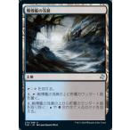 MTG ■土地/日本語版■ 《戦慄艦の浅瀬/Dreadship Reef》時のらせんリマスタ− TSR