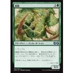 MTG ■緑/日本語版■ 《豪腕/Brawn》★FOIL★ アルティメットマスターズ UMA