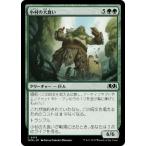 MTG ■緑/日本語版■ 《小村の大食い/Hamlet Glutton》エルドレインの森 WOE