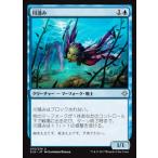 MTG ■青/日本語版■ 《川潜み/River Sneak》イクサラン XLN