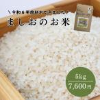 ましおのお米5kg \9月以降のお届けとなります/送料無料 熊本県 天草産 完全無農薬米 健康志向