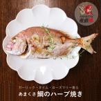 あまくさ鯛のハーブ焼き 単品 送料無料 お祝い お食い初め アクアパッツァ