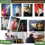 SHINee RANDOM PHOTO(21x26cm) / SUM DDP ARTIUM SM ÆüËܹñÆâÇÛÁ÷/1¼¡Í½Ìó