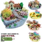 多肉植物 寄せ植え 植木鉢 鉢 お城 民家 ハウス 別荘 大サイズ 底穴付き 可愛い プランター ガーデン 室内 観葉植物 鉢植え 園芸用 DIY セ