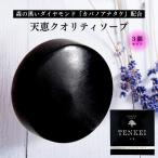 天恵クオリティソープ 樺のあな茸 天恵石鹸 80g 天然のカバノアナタケを配合 無添加 プラスケア 3個セット