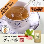 グァバ茶 3g×16パック 2袋セット テ