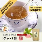 山年園 グァバ茶 3g×16パック ティー