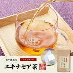 エキナセア茶 2g×10パック ノンカフェイン 無農薬 国産 100% 鳥取県または熊本県産  巣鴨のお茶屋さん 山年園