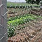 ショッピングフェンス ワイヤーメッシュフェンス 金網 ワイヤーネット 単穴径5-6cm 溶融亜鉛メッキガーデンメッシュフェンスヘビーデューティ再利用可能な家禽ネット、苗を保護します