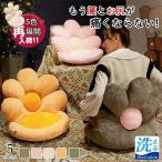  подушка стул для подушка для сидения осанка для поясницы поясница подушка офис таз поясница. .. меры таз подушка .. подушка .. нет ... боль . если нет движение машина люмбаго меры 