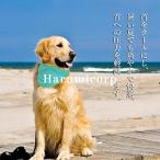 【6%OFFクーポン】犬用クールバンダナ 犬クールネック 犬用冷感リング ペット用冷却首輪 犬用クールスカーフ 冷却タオル 冷却スカーフ 涼感ボーダー 暑さ対策グ