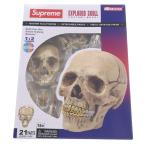 SUPREME シュプリーム 23AW 4D Model Human Skull Natural 4Dモデルヒューマンスカルナチュラル ホビー 人形 ホワイト