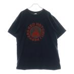 VINTAGE ヴィンテージ 00s RED HOT CHILI PEPPERS レッドホットチリペッパーズ フロントプリント バンド 半袖Tシャツ カットソー ネイビー