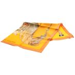 HERMES Hermes Calle 90 MON PETIT CHEVAL MEXICAIN шелк шарф orange 