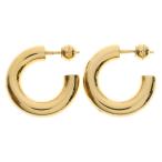 BURBERRY バーバリー フープピアス イヤーアクセサリー ゴールド GP