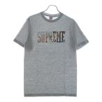 SUPREME シュプリーム 24AW Tera Patrick Collegiate Tee テラ パトリック ロゴプリント クルーネック 半袖Tシャツカットソー グレー